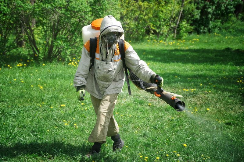 Cost of Armadillo Removal — Cost of Armadillo Removal